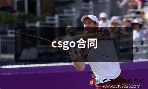csgo合同