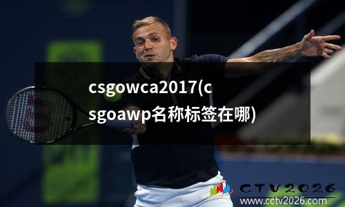 csgowca2017(csgoawp名称标签在哪)