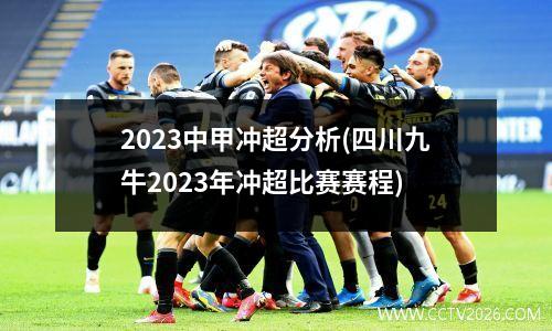 2023中甲冲超分析(四川九牛2023年冲超比赛赛程)