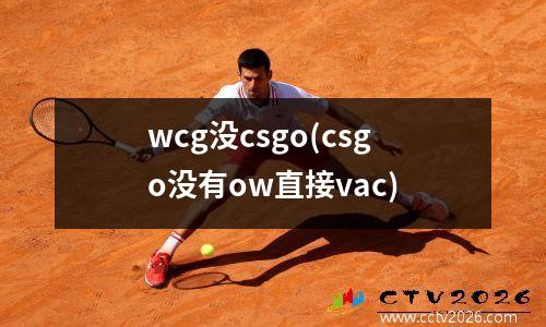wcg没csgo(csgo没有ow直接vac)
