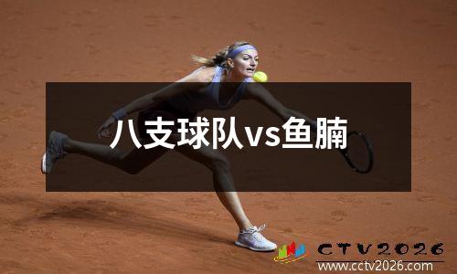八支球队vs鱼腩