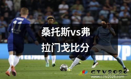 桑托斯vs弗拉门戈比分