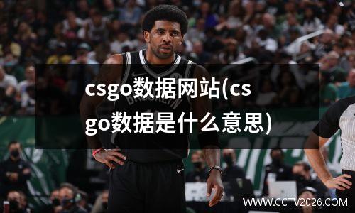 csgo数据网站(csgo数据是什么意思)