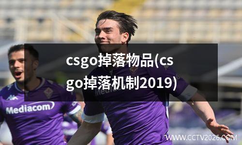 csgo掉落物品(csgo掉落机制2019)