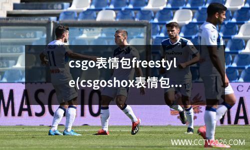 csgo表情包freestyle(csgoshox表情包)