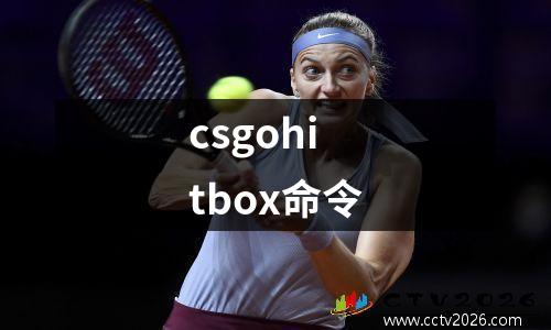 csgohitbox命令