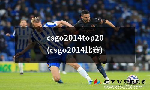 csgo2014top20(csgo2014比赛)