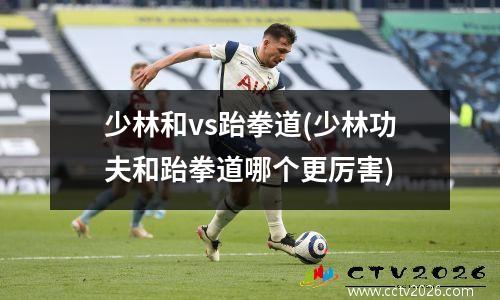 少林和vs跆拳道(少林功夫和跆拳道哪个更厉害)