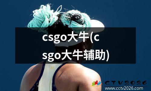csgo大牛(csgo大牛辅助)