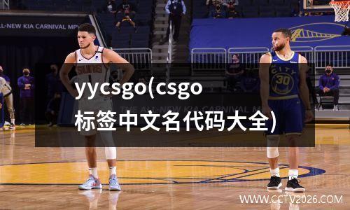 yycsgo(csgo标签中文名代码大全)