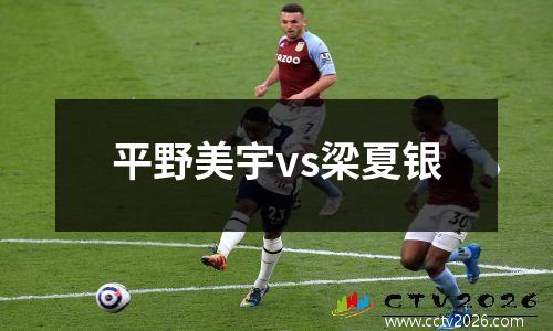 平野美宇vs梁夏银