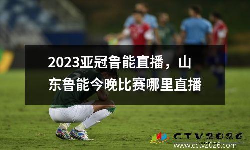 奥丹斯vs桑德捷直播(奥德对桑纳菲比分)