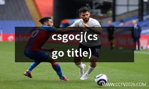 csgocj(csgo title)
