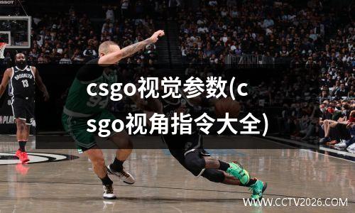csgo视觉参数(csgo视角指令大全)