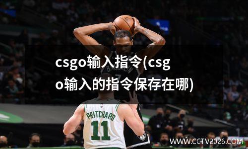 csgo输入指令(csgo输入的指令保存在哪)