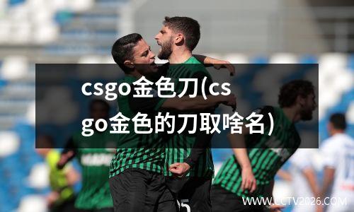 csgo金色刀(csgo金色的刀取啥名)