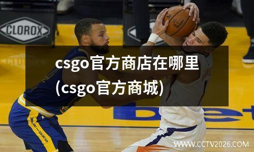 csgo官方商店在哪里(csgo官方商城)