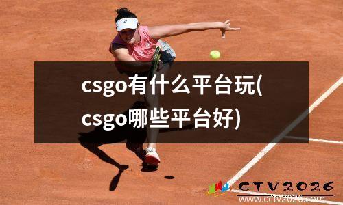 csgo有什么平台玩(csgo哪些平台好)