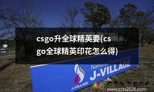 csgo升全球精英要(csgo全球精英印花怎么得)