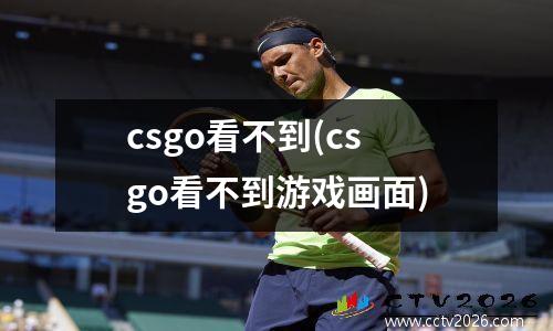 csgo看不到(csgo看不到游戏画面)