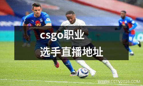 csgo职业选手直播地址