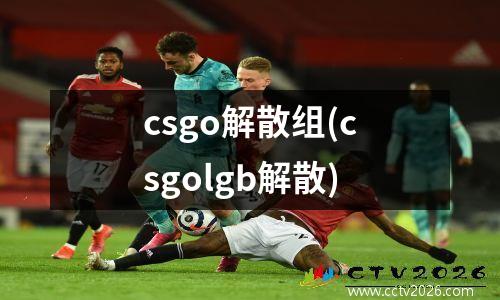 csgo解散组(csgolgb解散)