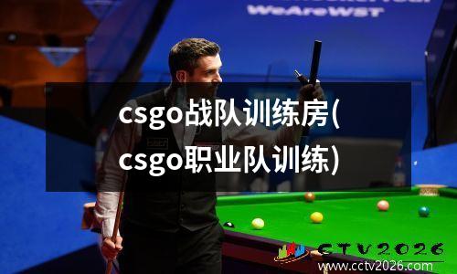 csgo战队训练房(csgo职业队训练)