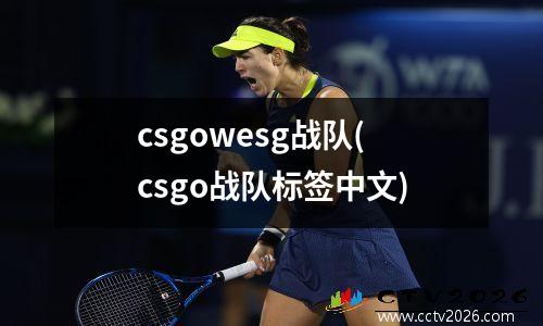 csgowesg战队(csgo战队标签中文)