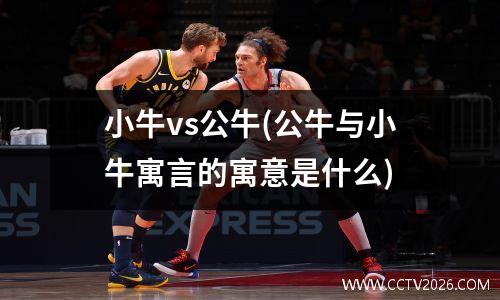 小牛vs公牛(公牛与小牛寓言的寓意是什么)