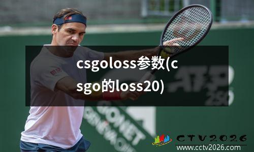 csgoloss参数(csgo的loss20)