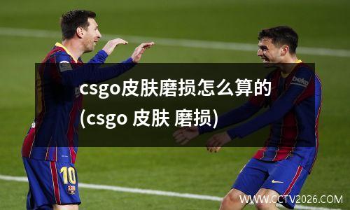 csgo皮肤磨损怎么算的(csgo 皮肤 磨损)