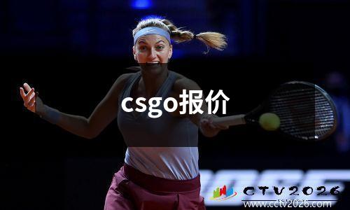 csgo报价