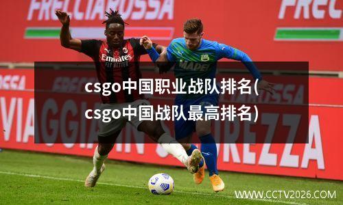 csgo中国职业战队排名(csgo中国战队最高排名)