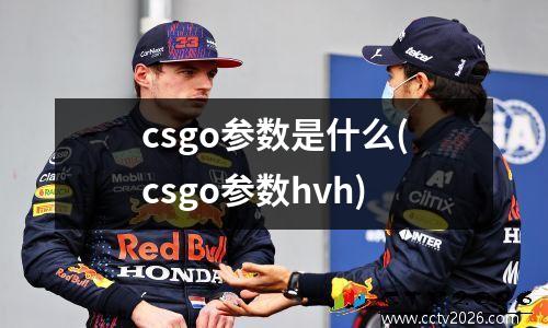 csgo参数是什么(csgo参数hvh)