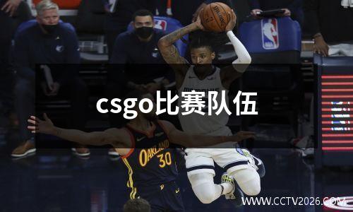 csgo比赛队伍