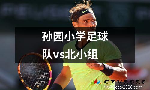 孙园小学足球队vs北小组