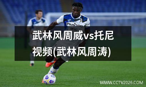 武林风周威vs托尼视频(武林风周涛)