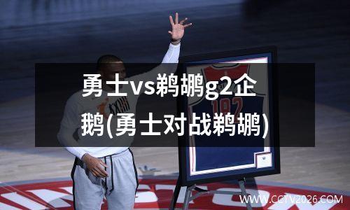 勇士vs鹈鹕g2企鹅(勇士对战鹈鹕)