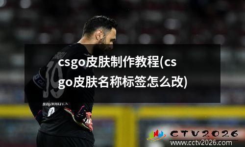 csgo皮肤制作教程(csgo皮肤名称标签怎么改)
