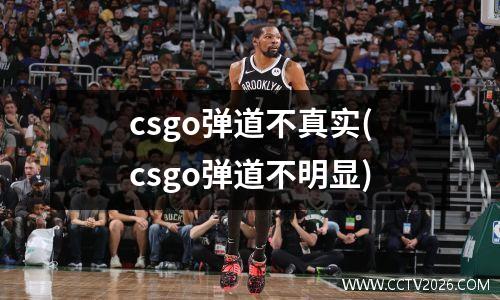 csgo弹道不真实(csgo弹道不明显)