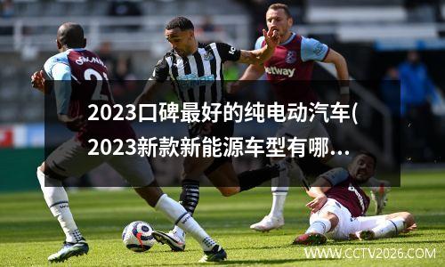 2023口碑最好的纯电动汽车(2023新款新能源车型有哪些)