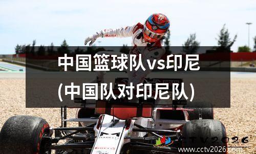 中国篮球队vs印尼(中国队对印尼队)