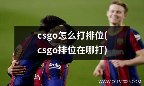 csgo怎么打排位(csgo排位在哪打)