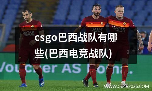 csgo巴西战队有哪些(巴西电竞战队)
