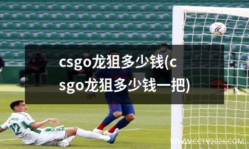 csgo龙狙多少钱(csgo龙狙多少钱一把)