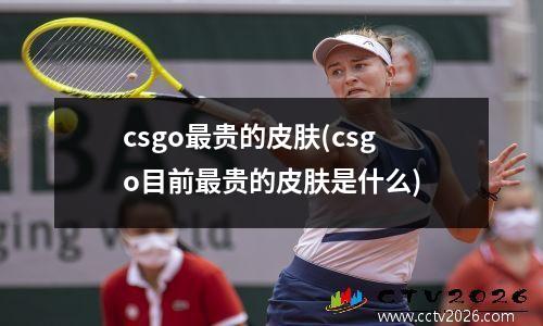csgo最贵的皮肤(csgo目前最贵的皮肤是什么)