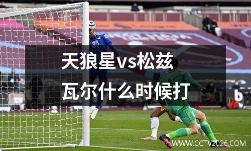 天狼星vs松兹瓦尔什么时候打