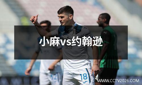 小麻vs约翰逊