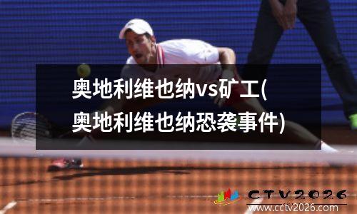 奥地利维也纳vs矿工(奥地利维也纳恐袭事件)