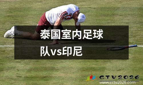 泰国室内足球队vs印尼